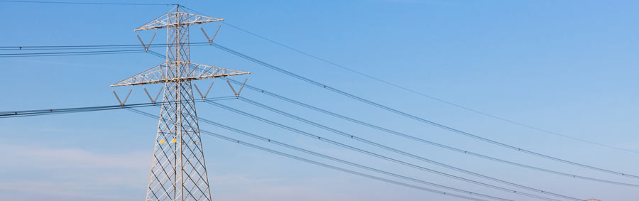 service workers analyzing solar panels