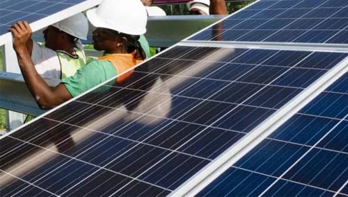 operational_0002_grasshopper