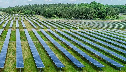 operational_0004_chestnut