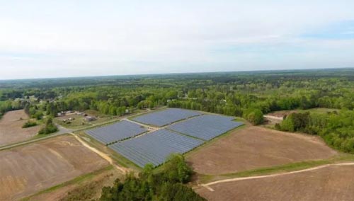 operational_0008_northern cardinal