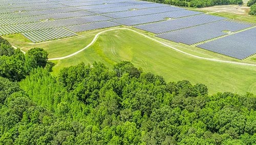 operational_0009_cork