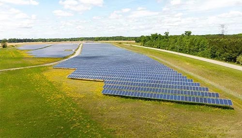 operational_0011_hemlock